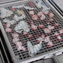 Grillware in stainless steel