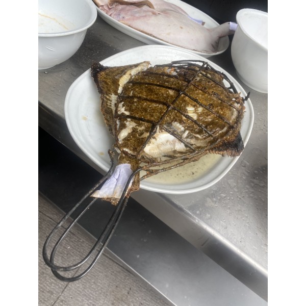 Rodaballera Mediana Para Pescado