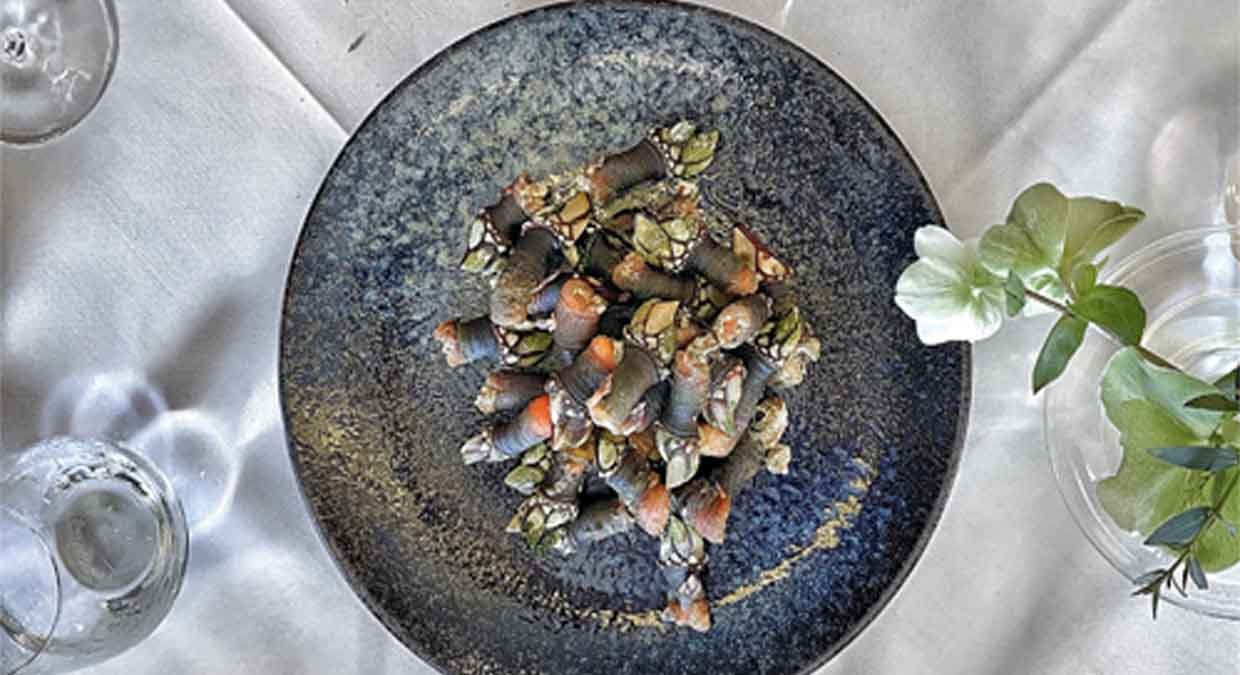 Delicias del mar en Restaurante Elkano: ¡una experiencia inolvidable! 